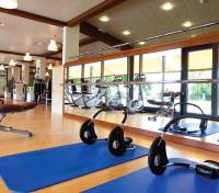Fairmont Le Montreux Palace Fitness Centre